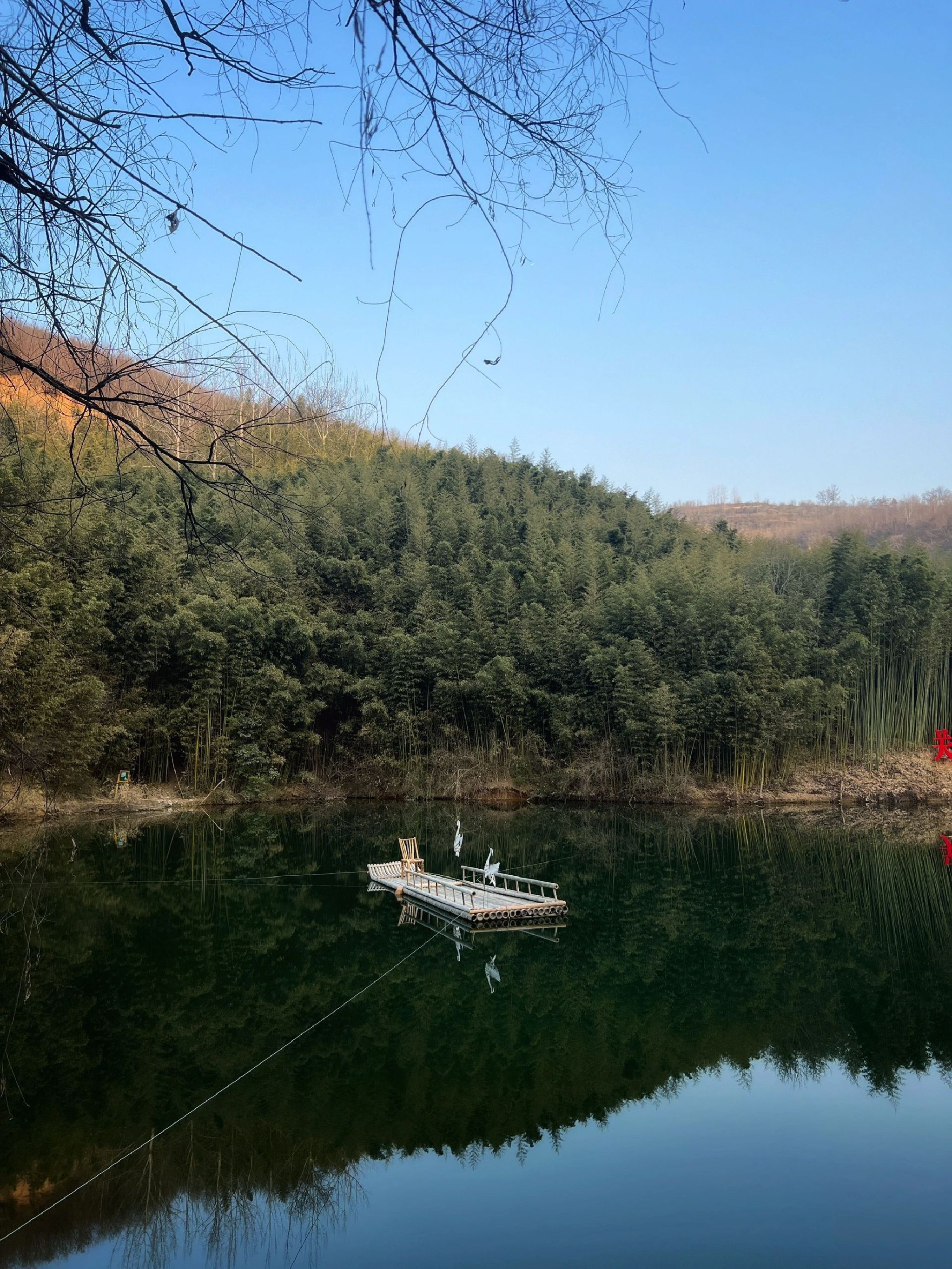 鲸鱼沟竹海风景区