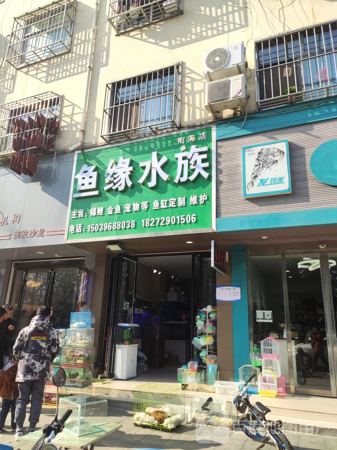 鱼源水族(南河店)