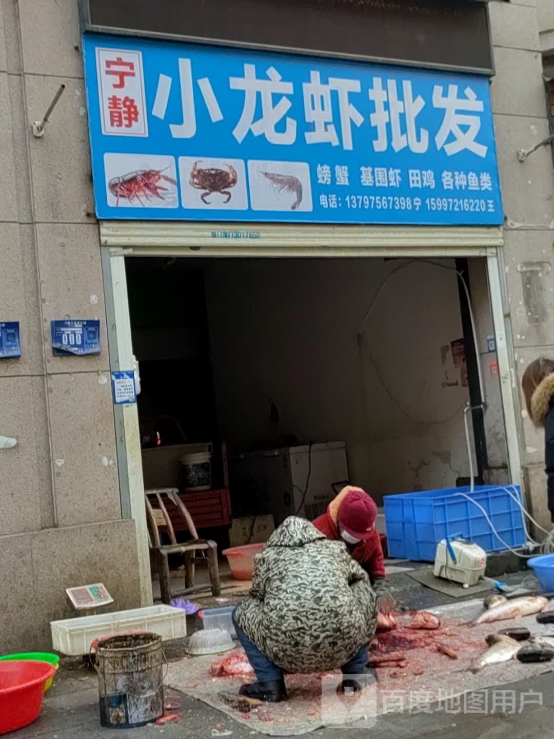 贺记小龙虾批发
