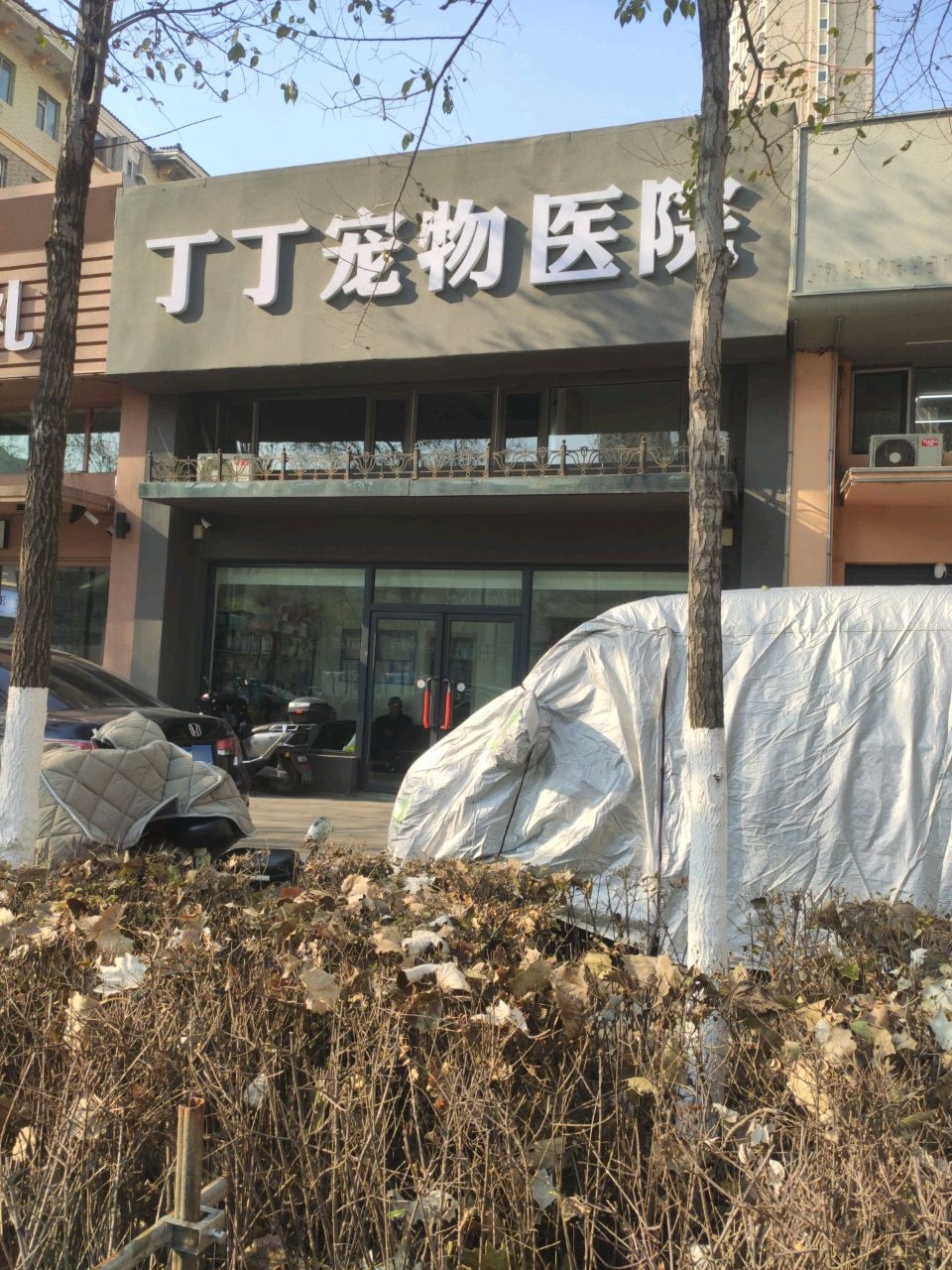 丁丁宠物医院