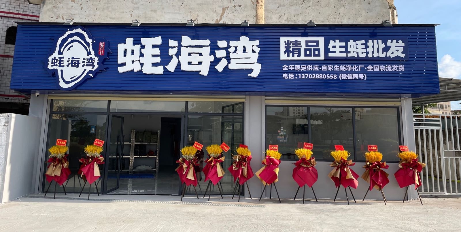蚝海湾生蚝批发
