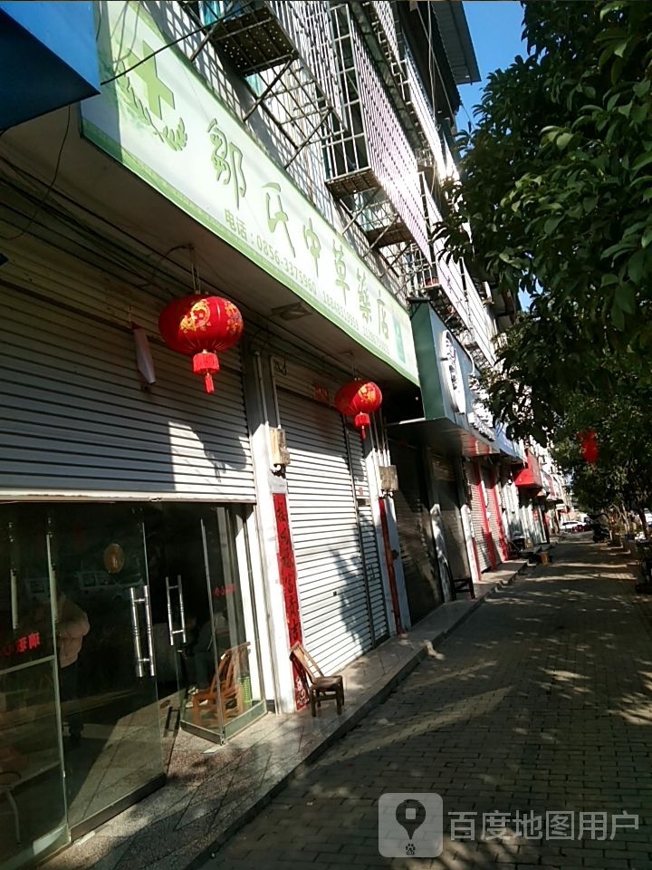 中成草药店
