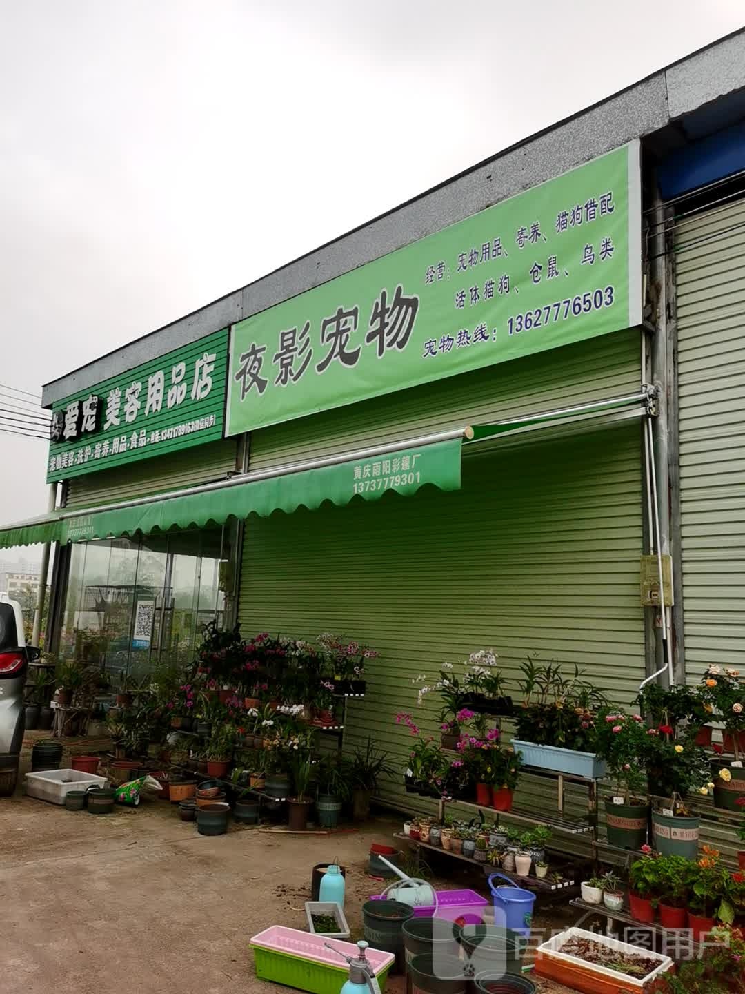 爱宠美容用品店