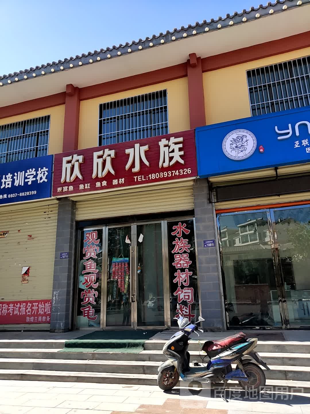 鑫鑫水族(渊泉路店)