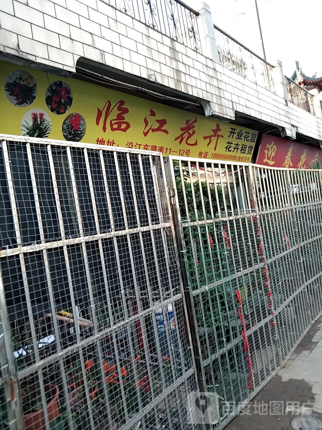 临江花卉
