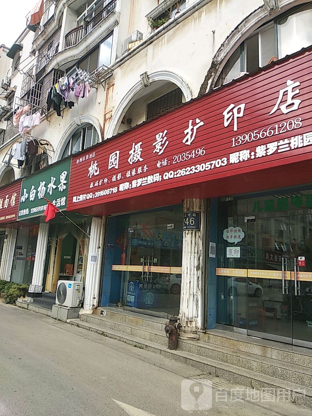 小白杨水果(生活馆)
