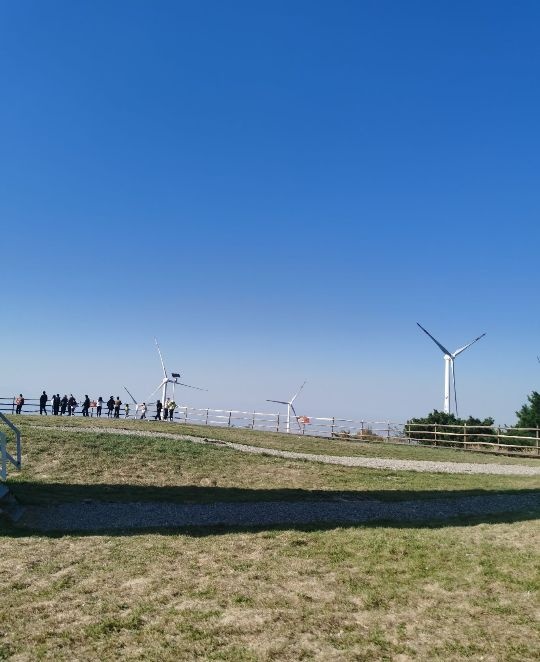 风口度假村