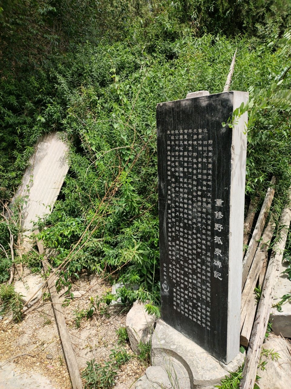 野狐泉