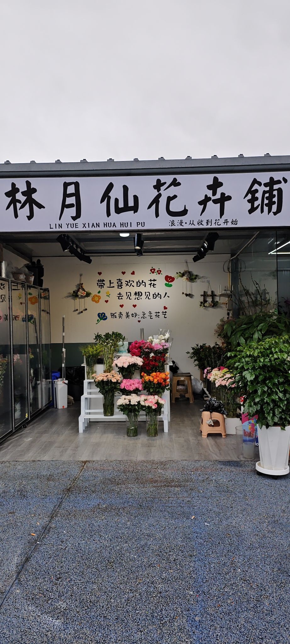 林月仙绿植花卉