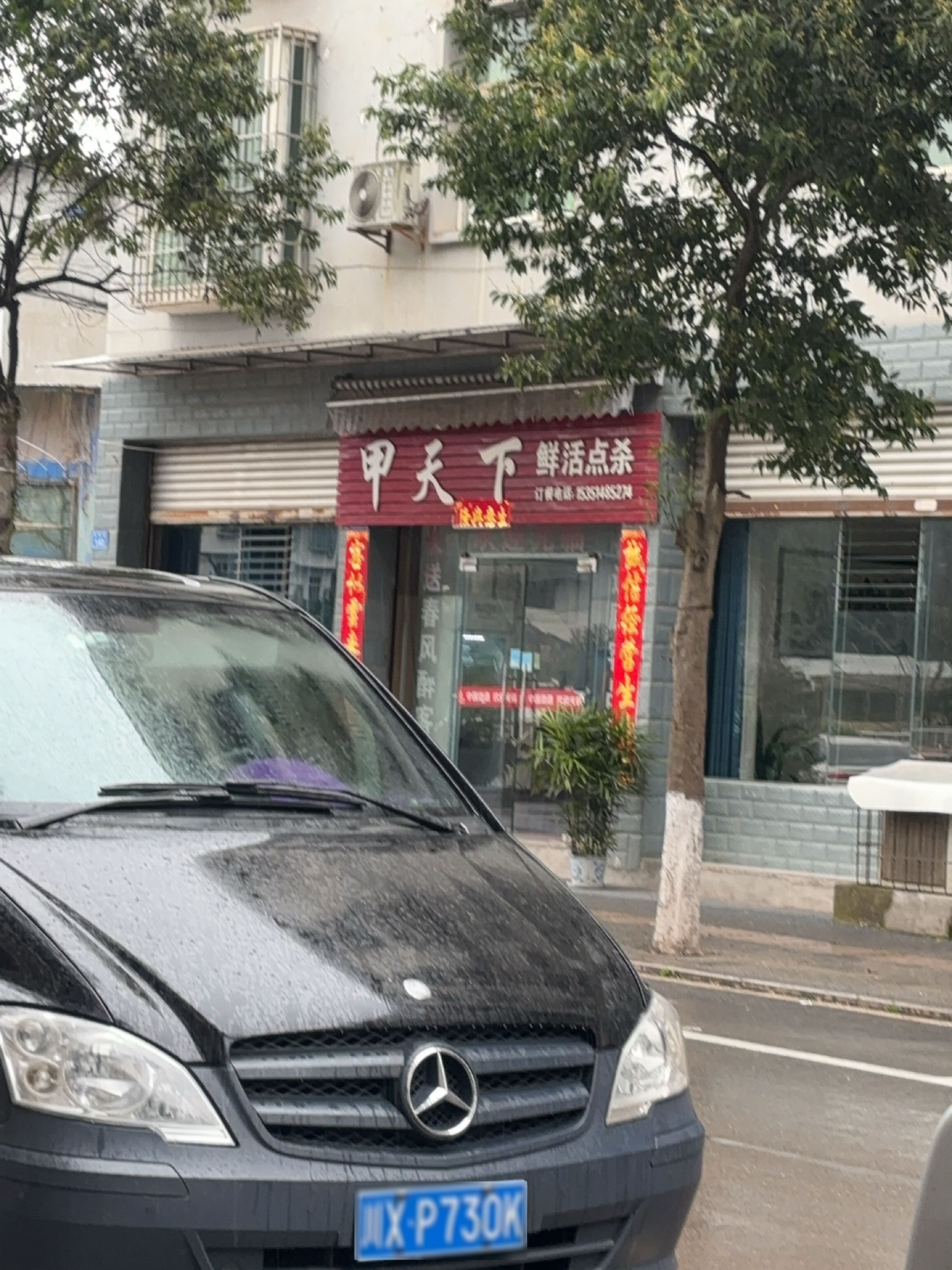 甲天下鲜活点杀