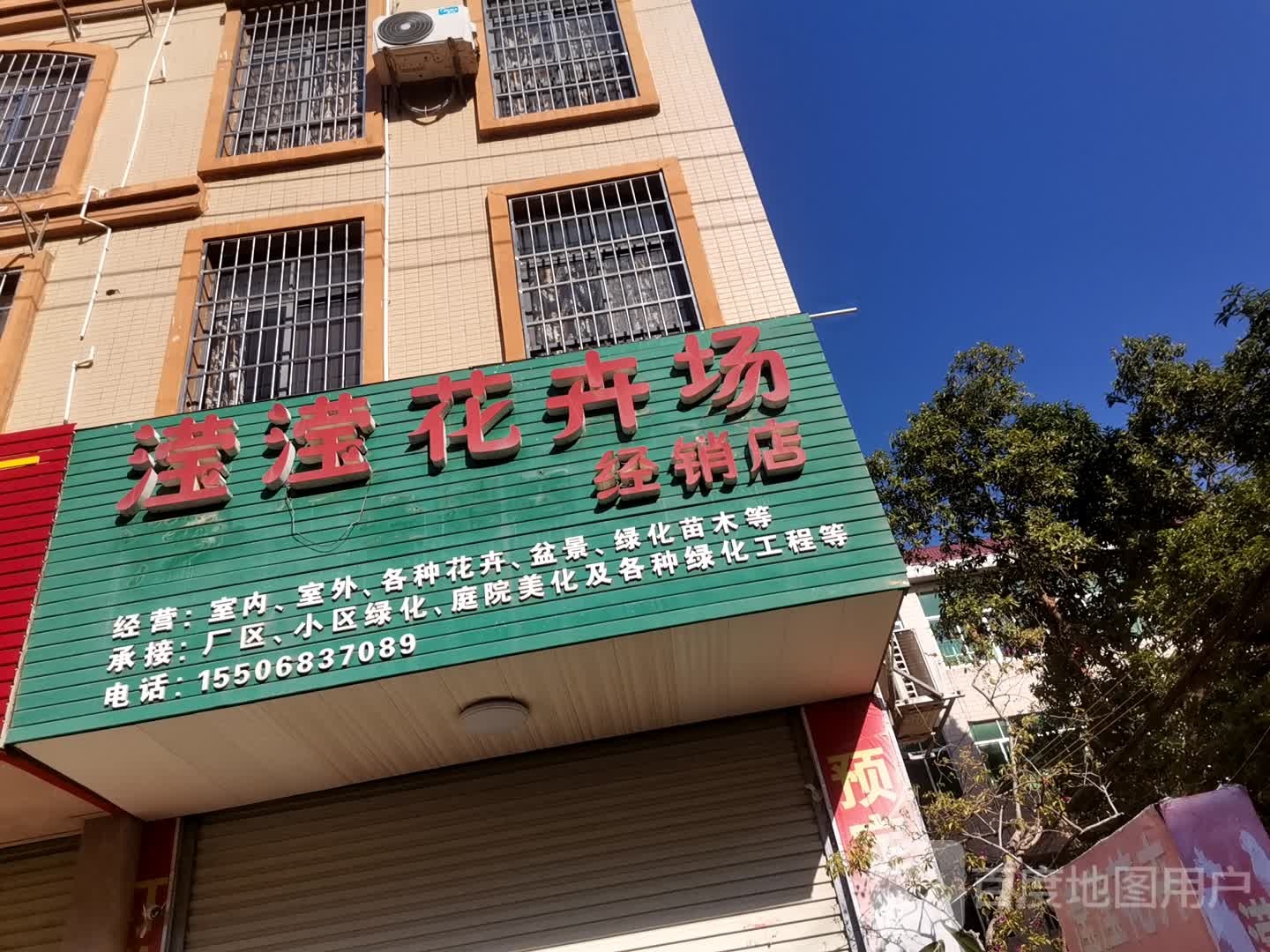 滢滢花卉场(经销店)