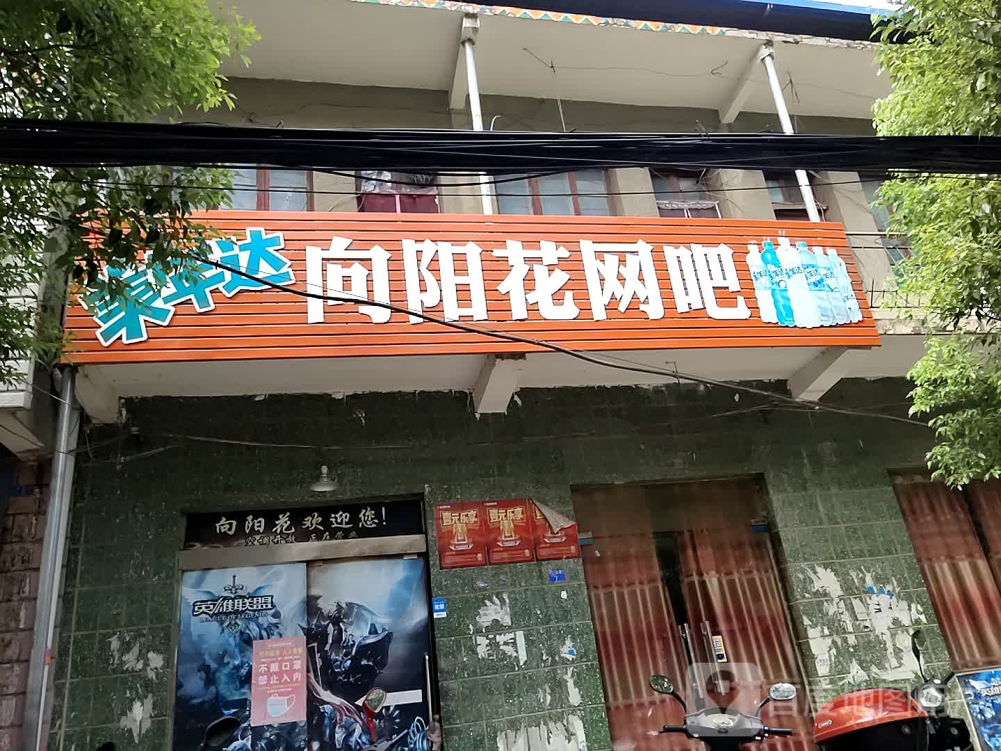 向阳花网吧