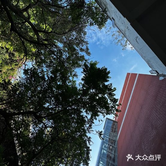 晋爵会乒乓球馆