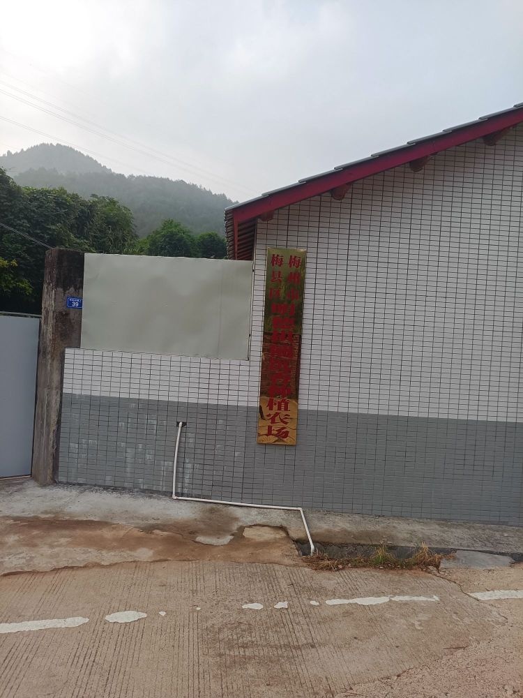 梅州市梅县区明德棋楠沉香种植农场