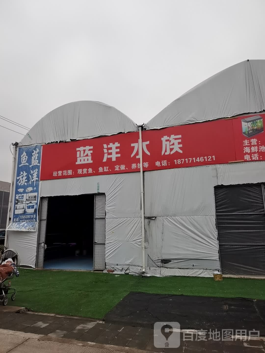 蓝洋水族