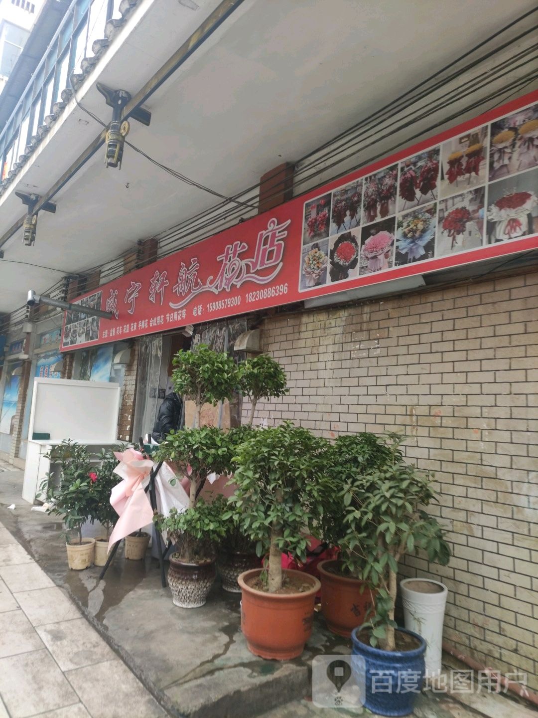 威宁轩航花店