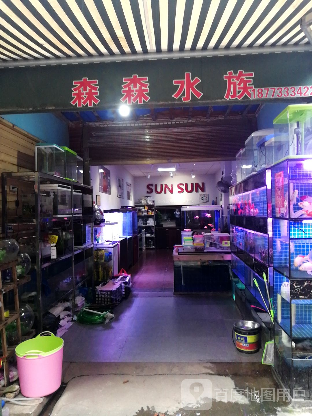 森森水族(新华西路店)