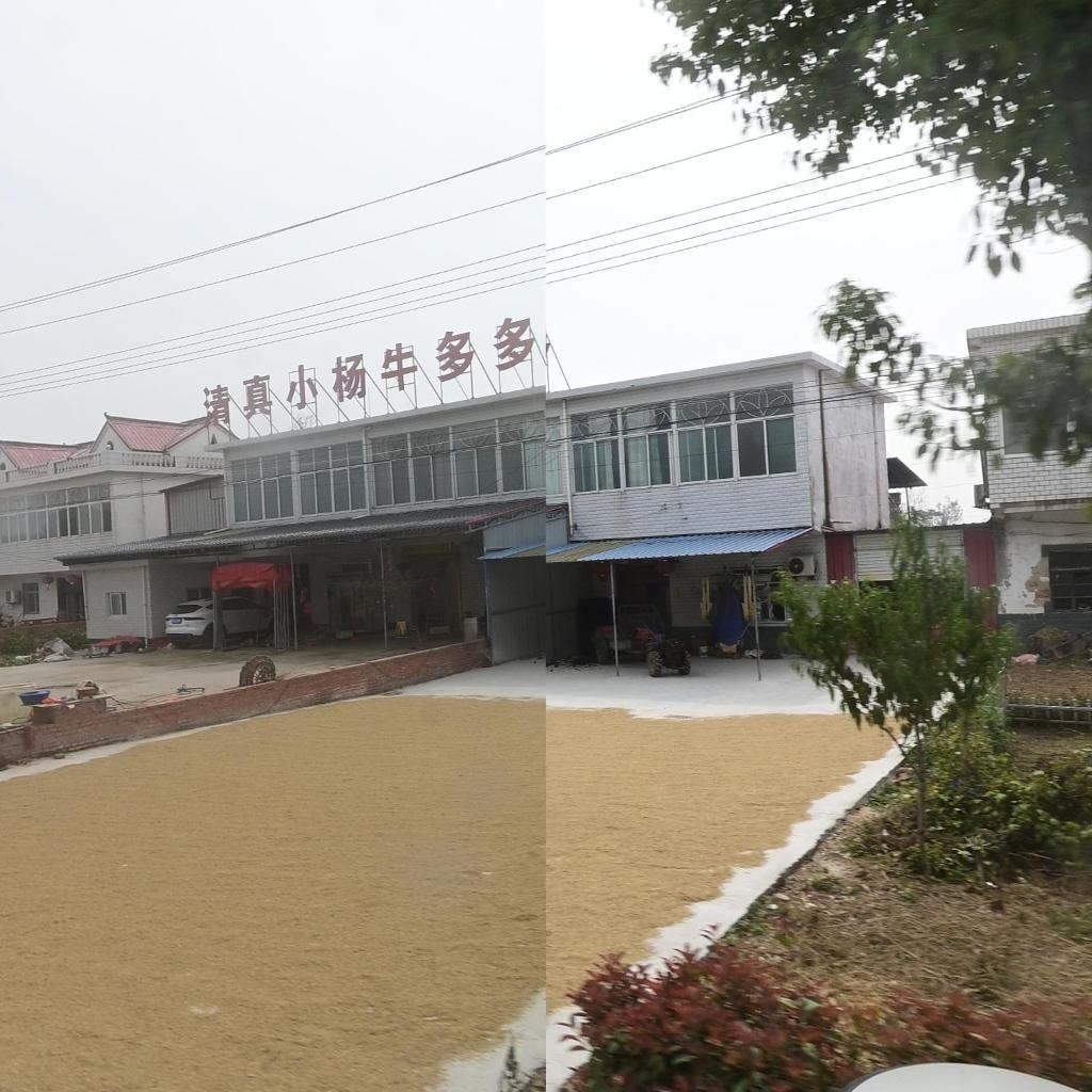 清真小杨牛多多