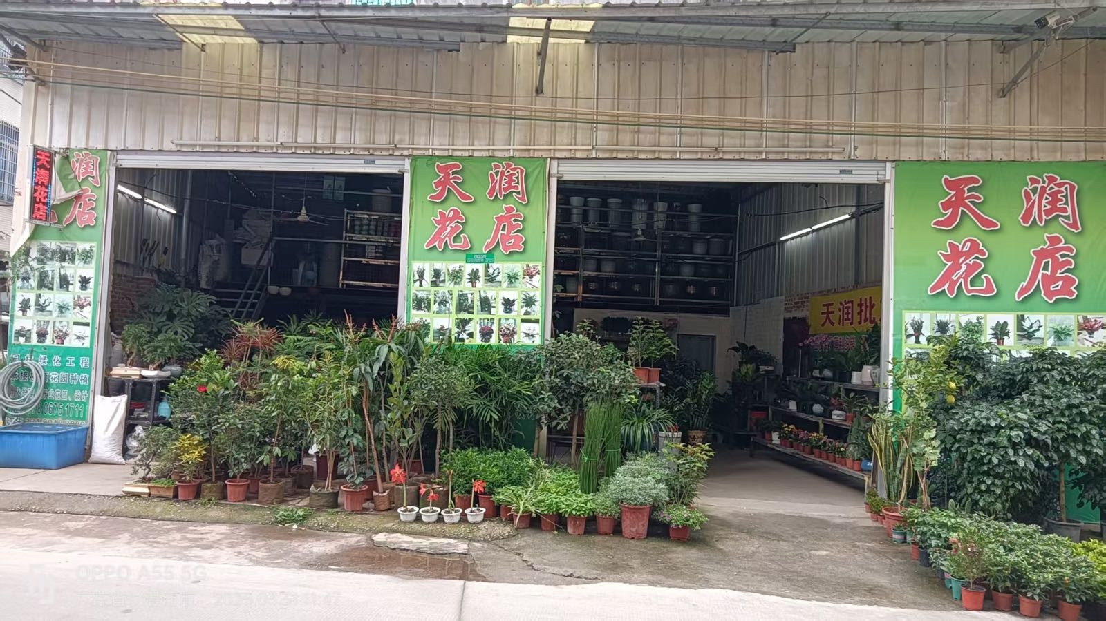 天润花店