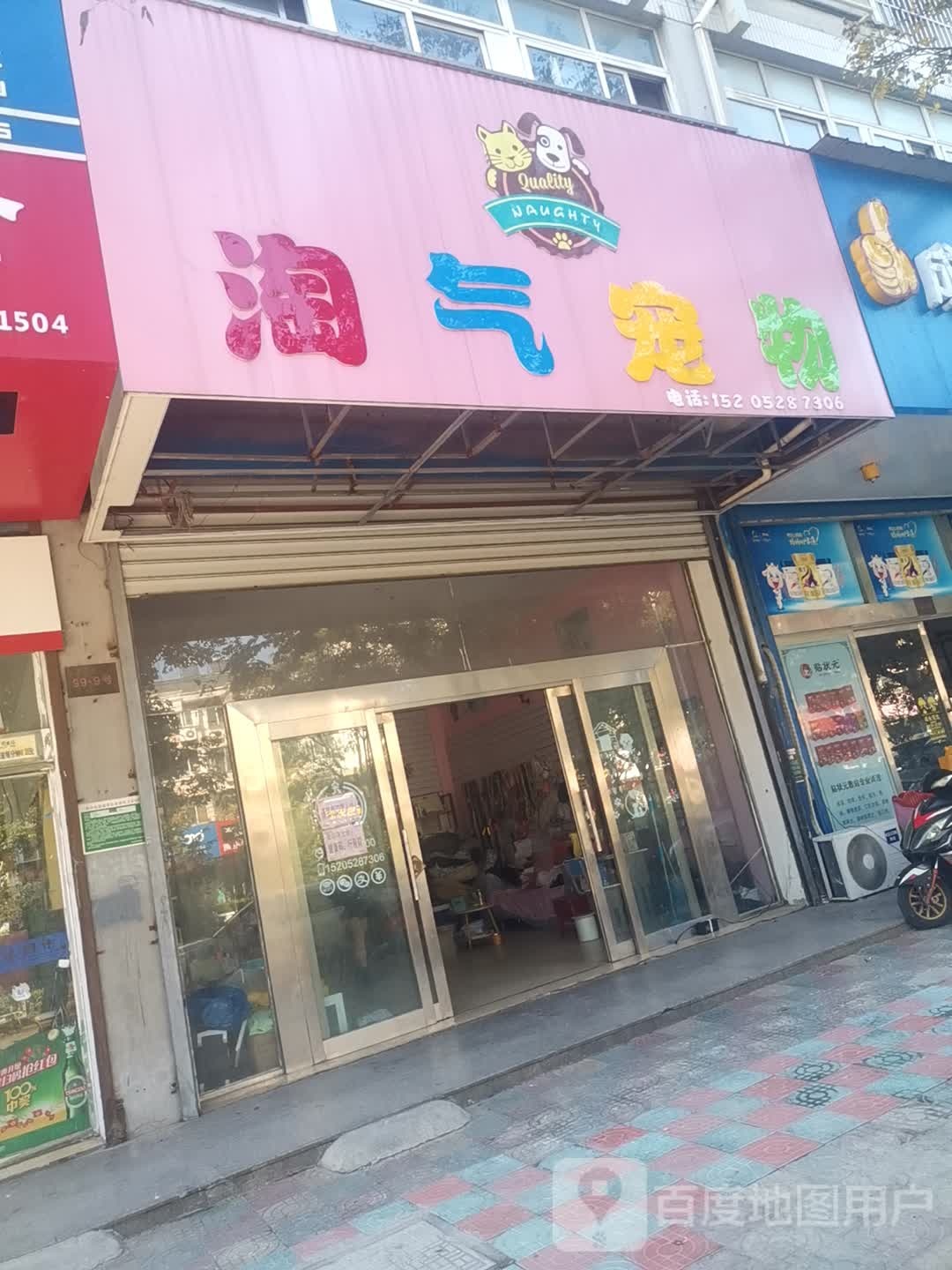 淘气宠物店(康宁路店)