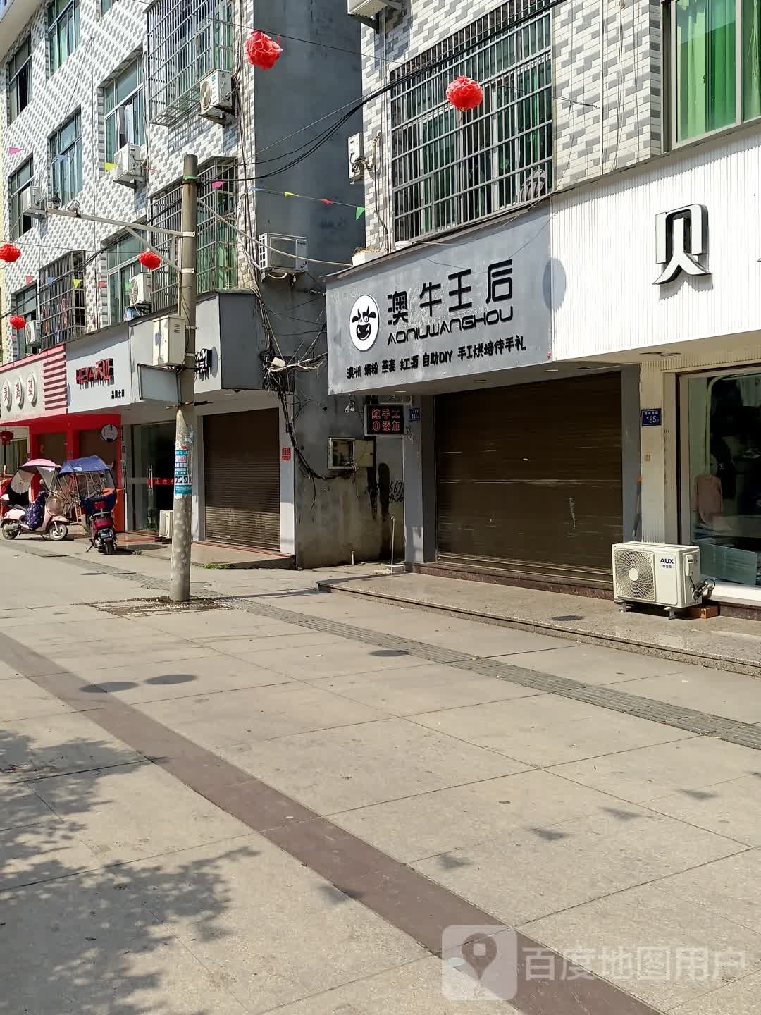 澳牛王后