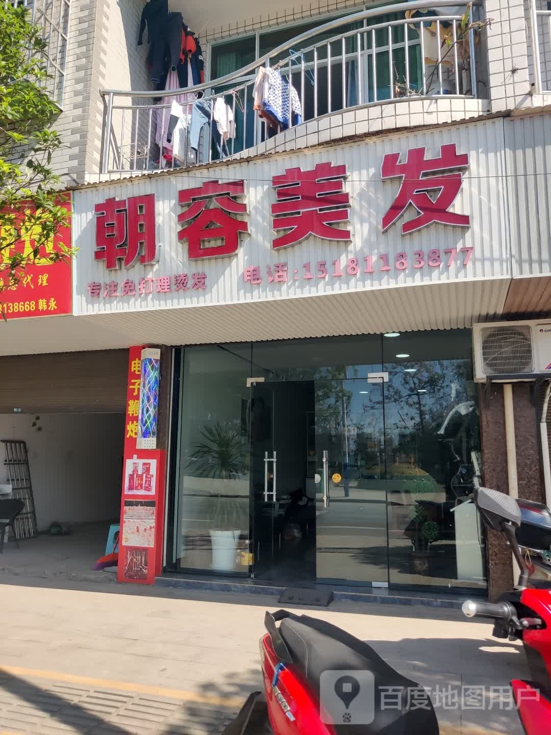 朝容没法