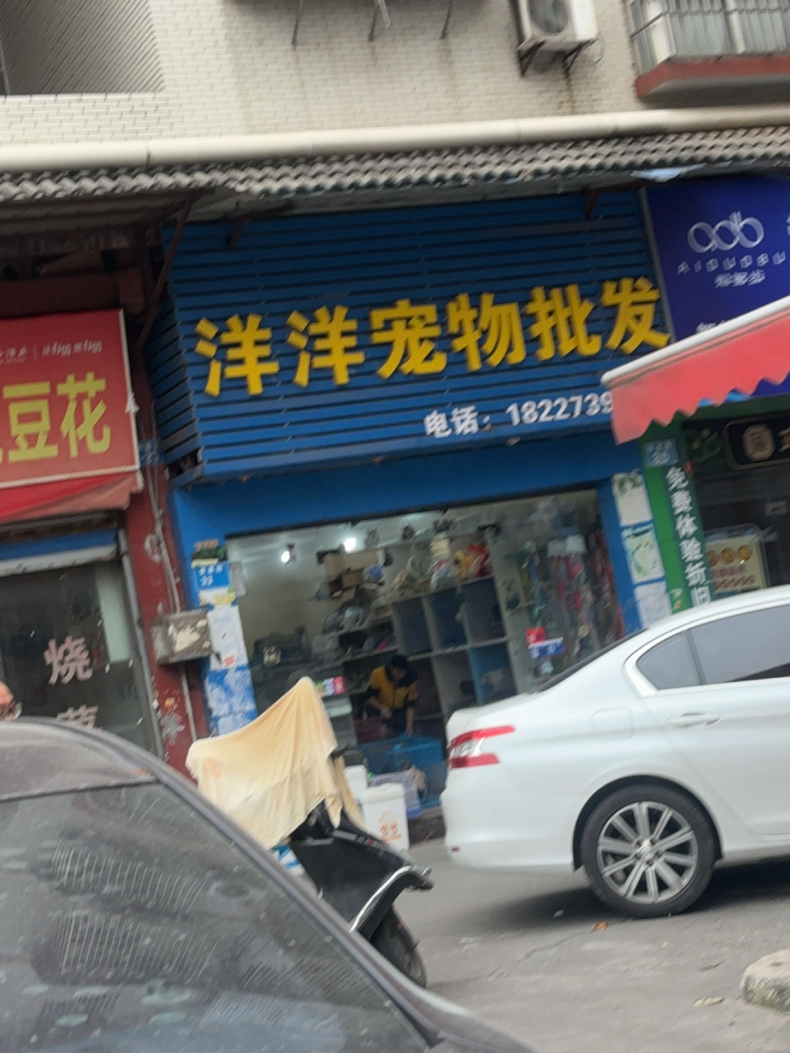 洋洋宠物店(奎星街店)