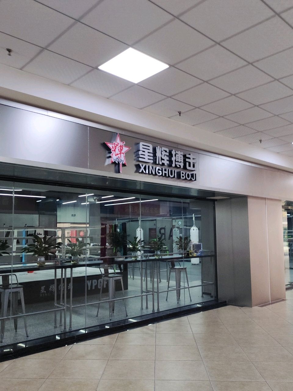 星辉搏丸击葡