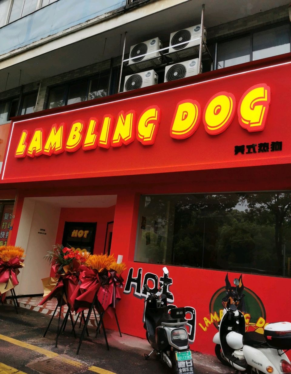 LAMBLING DOG