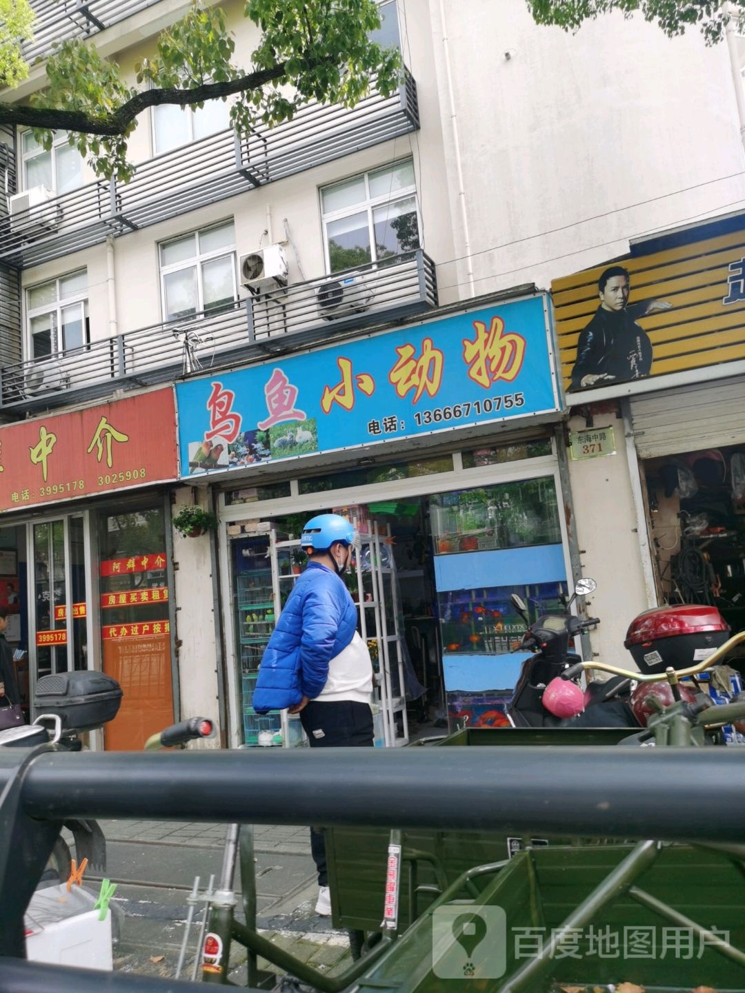 鸟鱼小动物(东海名竹苑店)