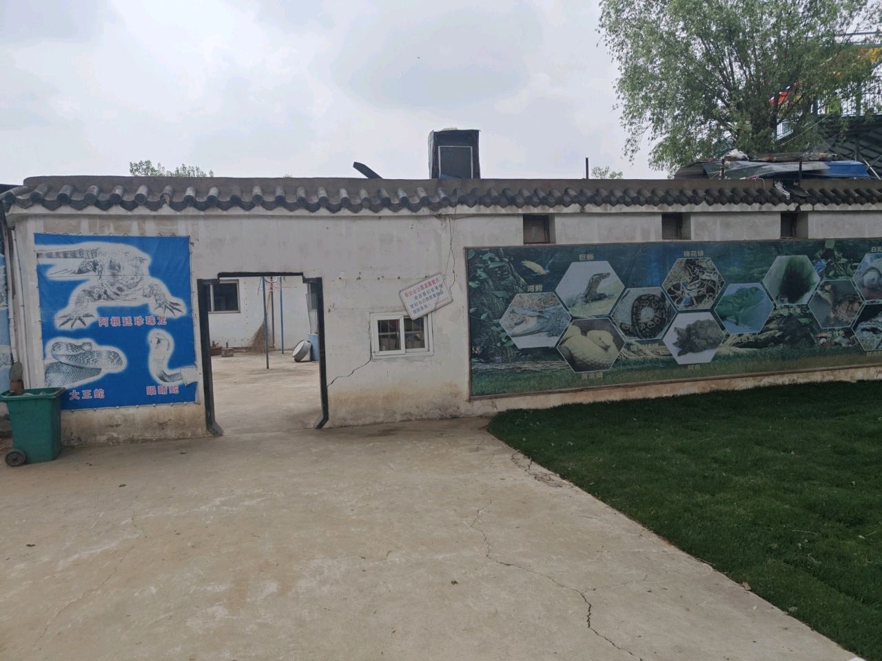 两栖爬行馆