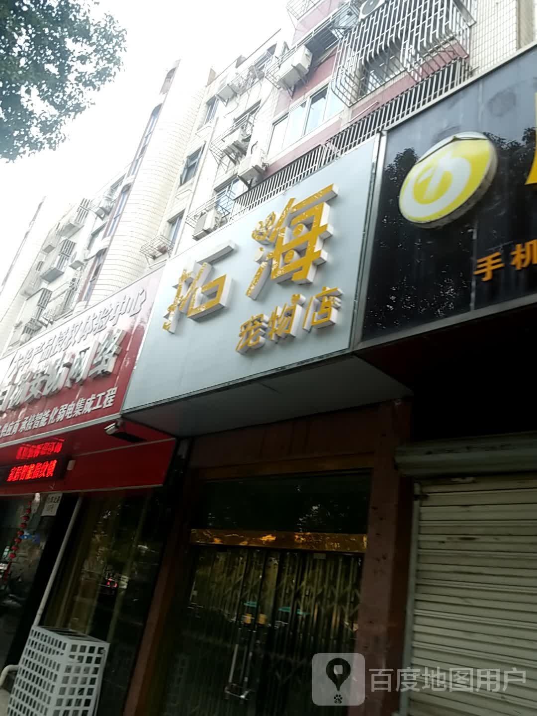 拓海宠物店