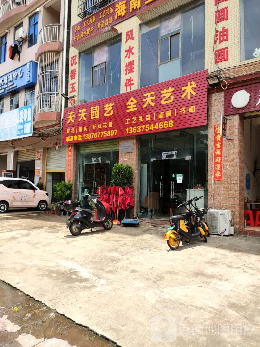 天天园艺(澄迈老城店)