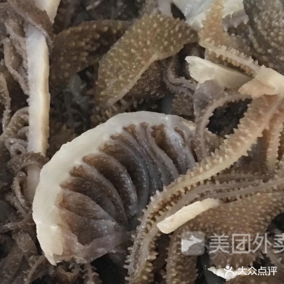 麻辣想过(凤凰店)