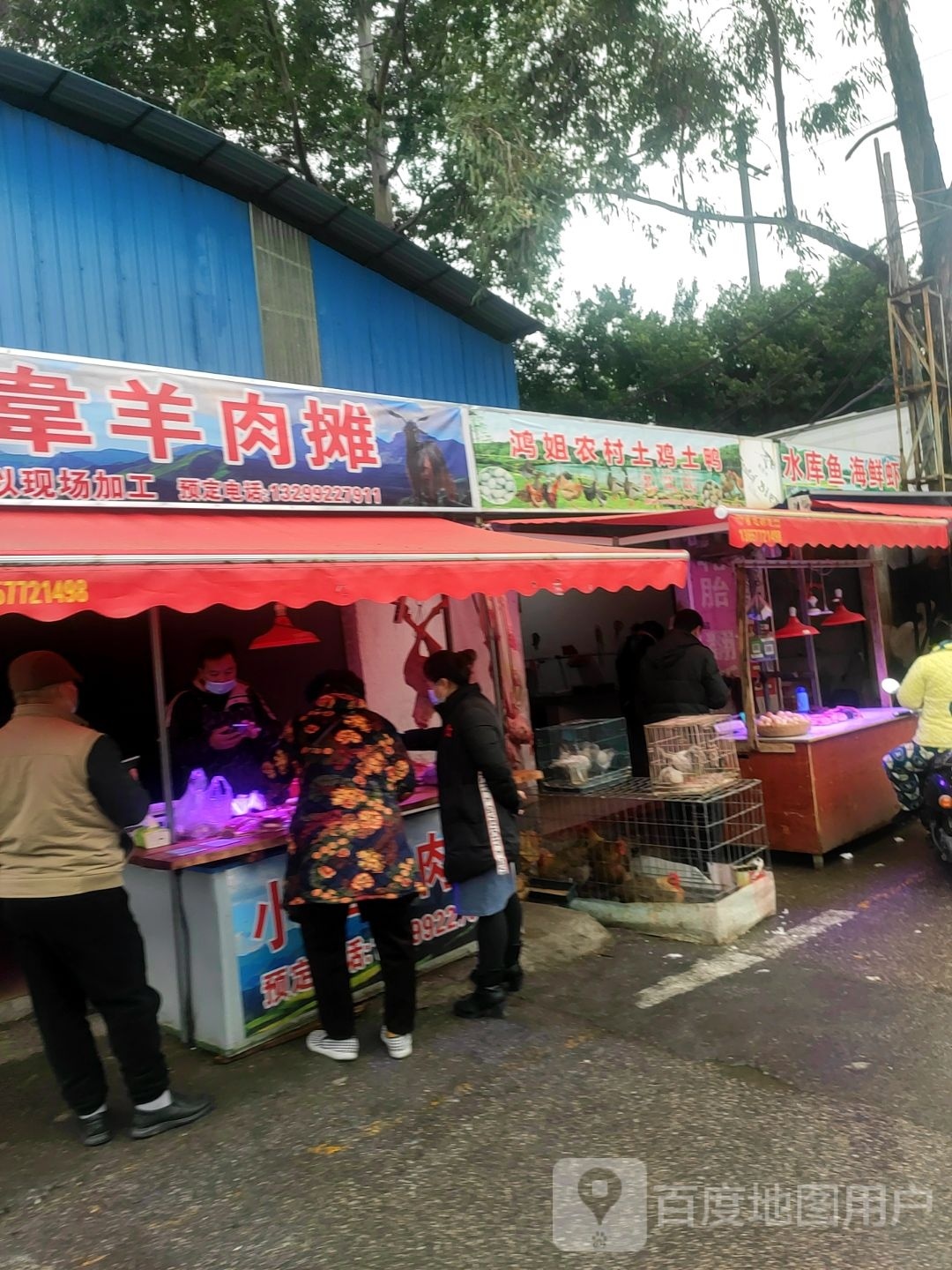 水库#鱼海鲜虾
