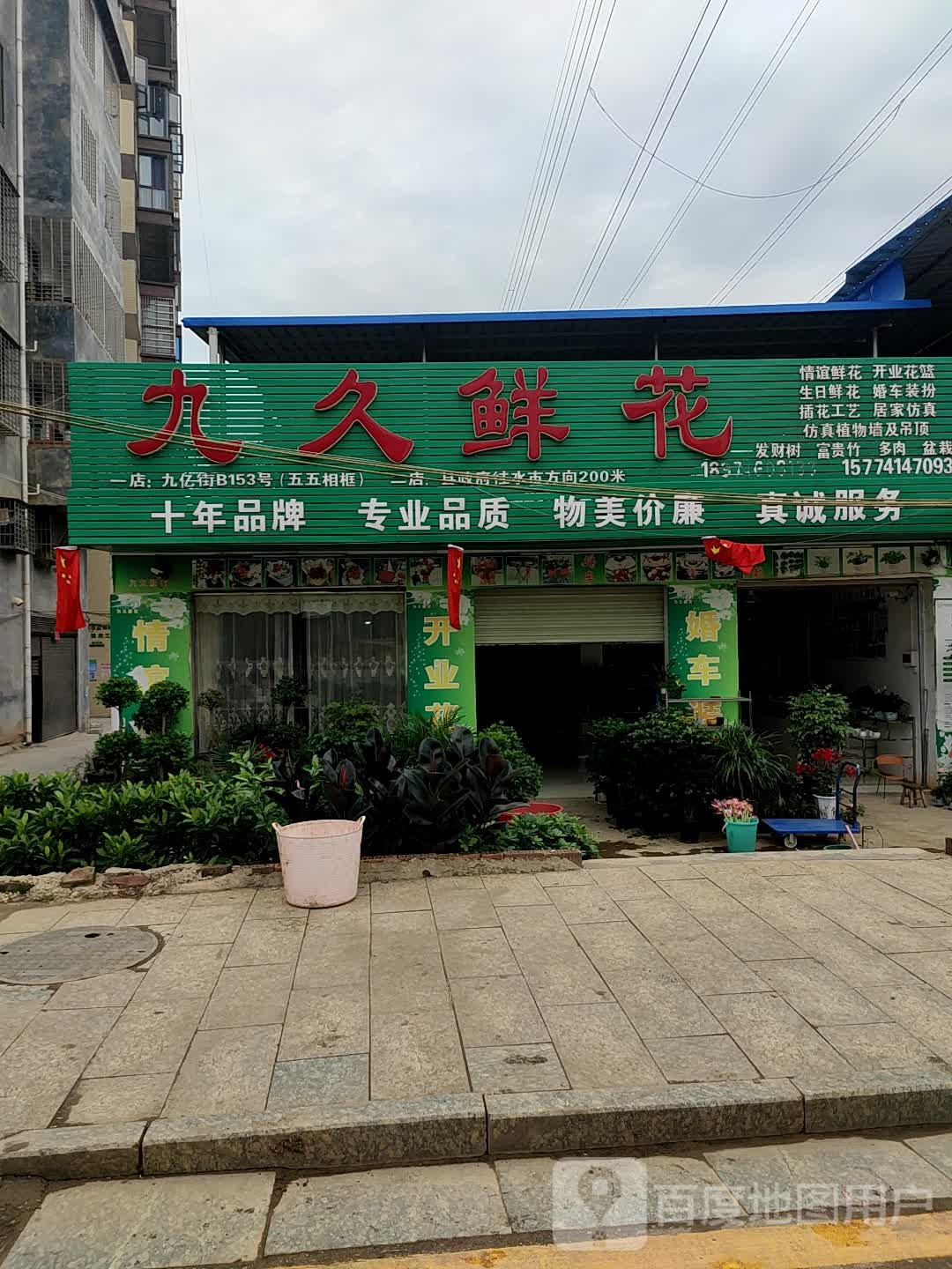 九久鲜花(二店)