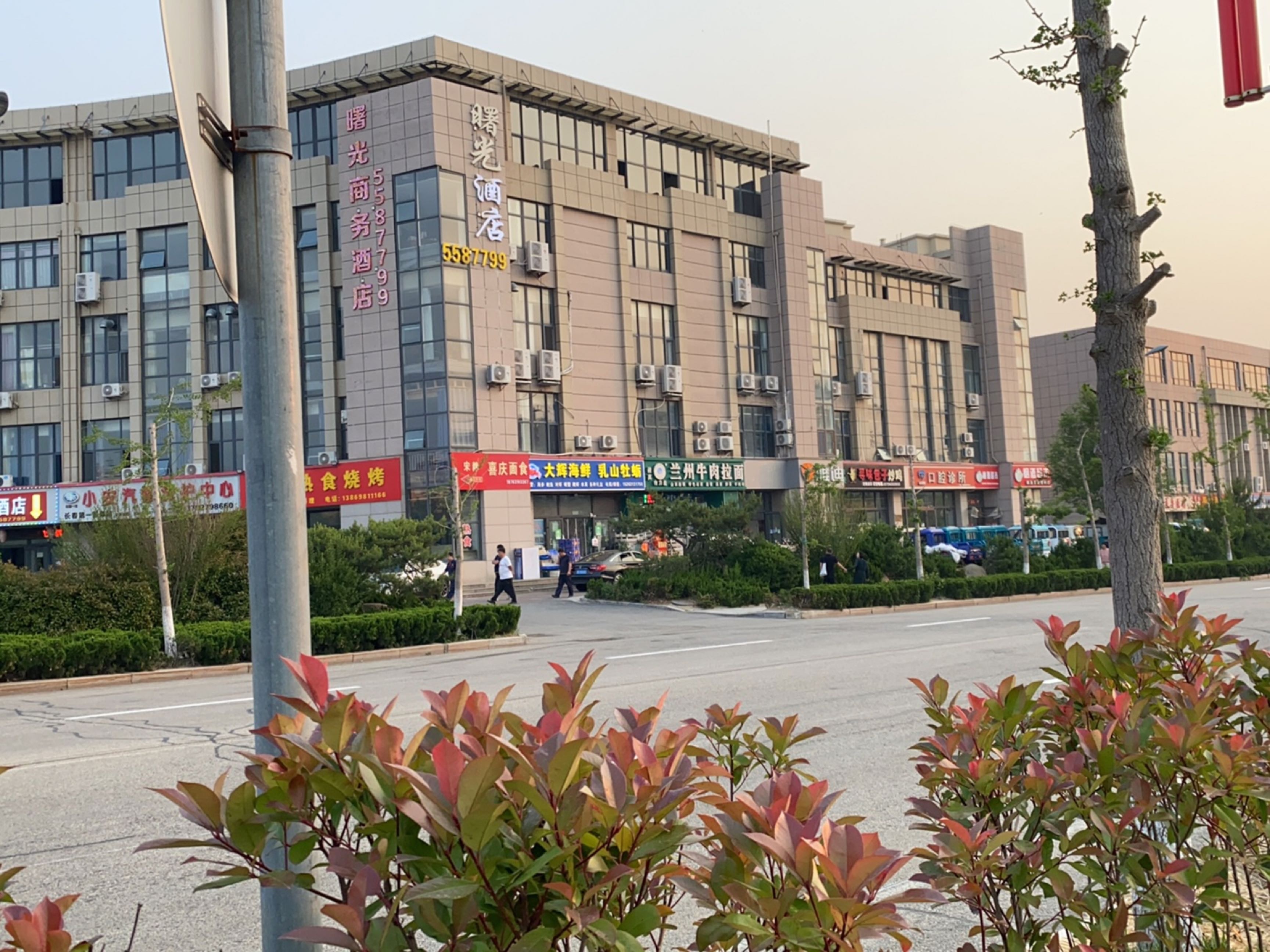 清真台力盖兰州牛肉拉面