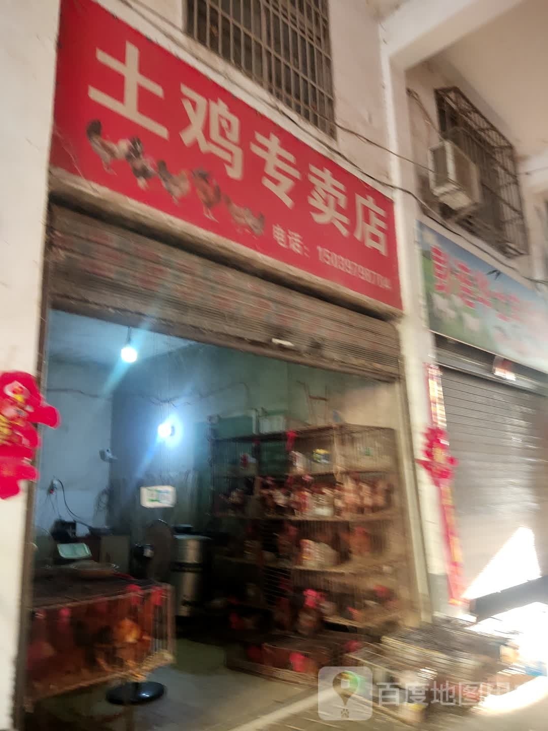 土鸡专卖店