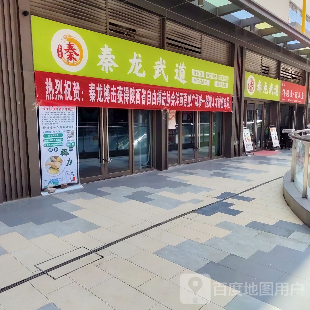 秦龙拳道(沣西吾悦广场店)