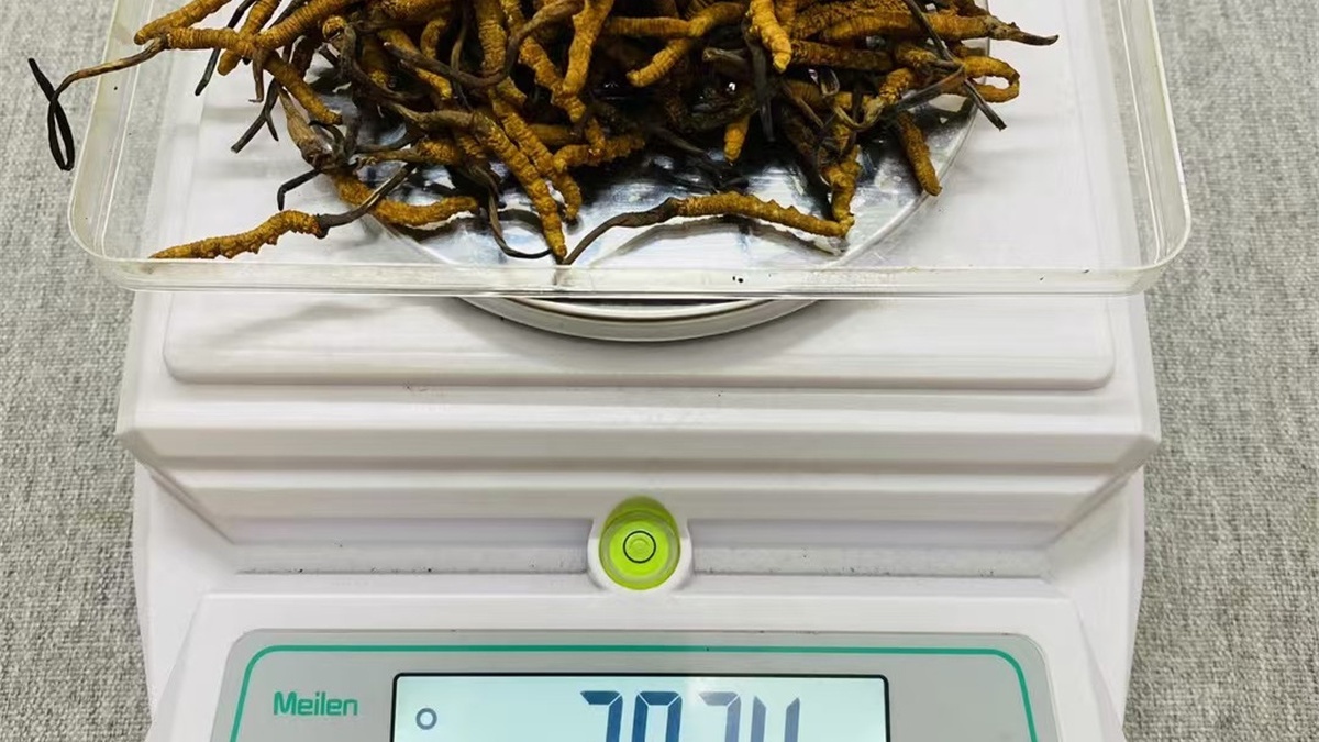 有朋寄卖商行
