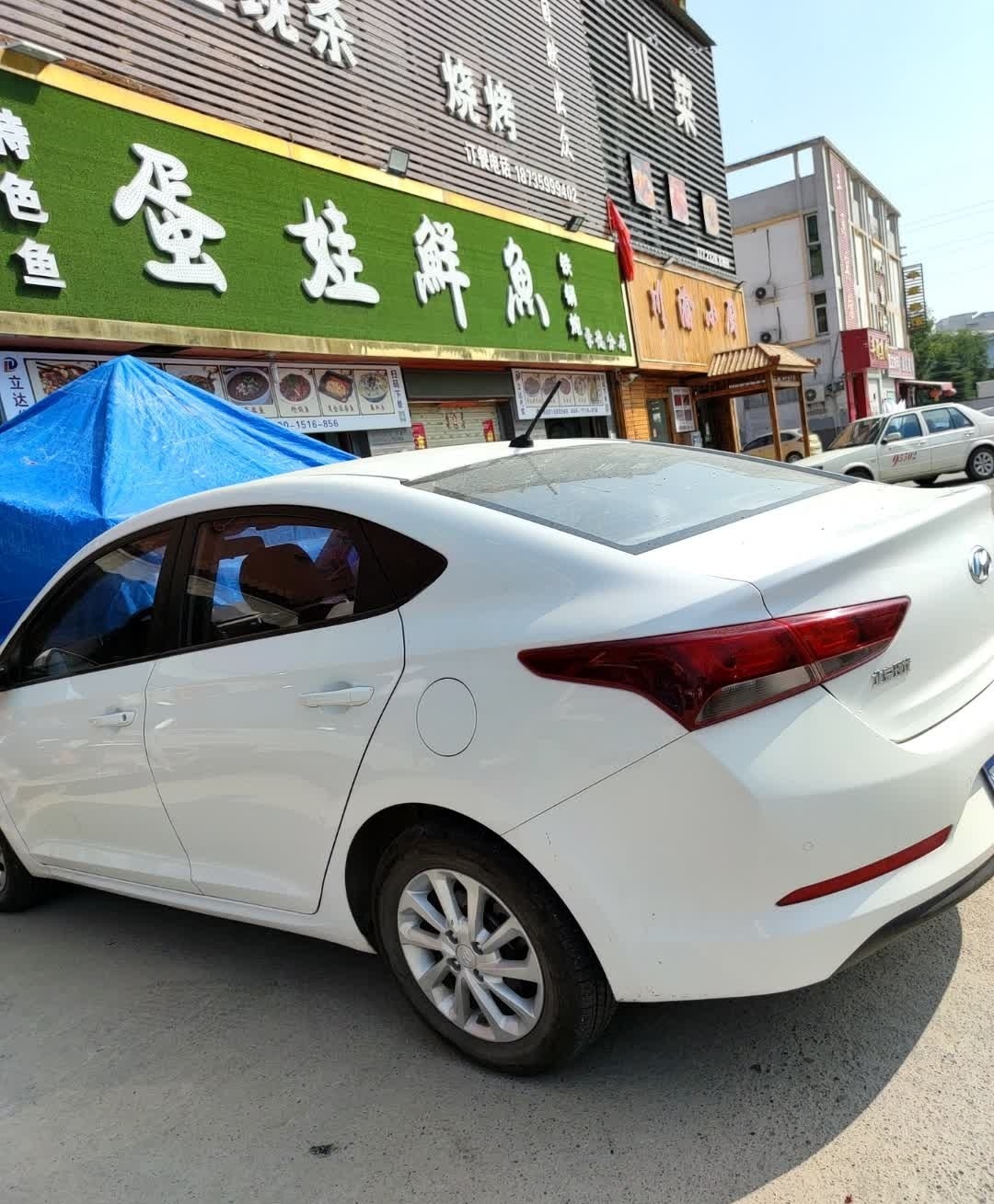蛋娃鲜鱼(豪德贸易广场店)