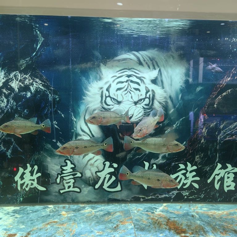 傲壹龙水族馆