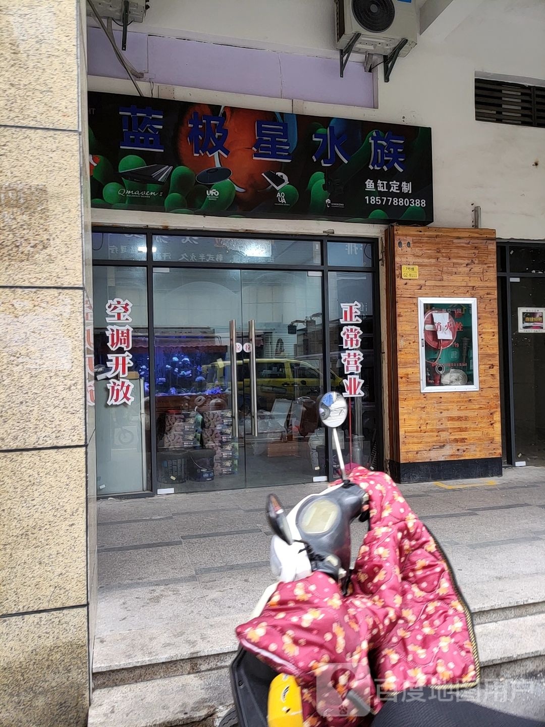 蓝极星水族