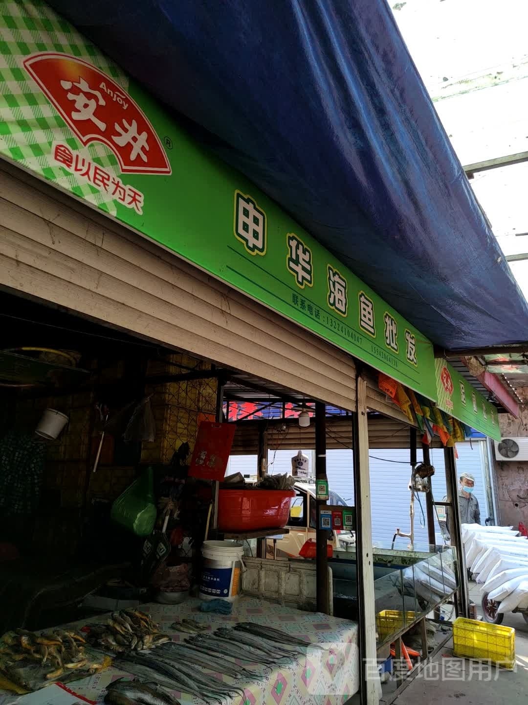 申华海鱼批发