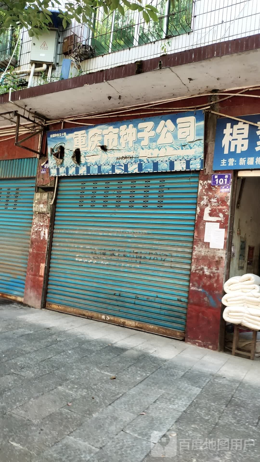 重庆渝种子公司