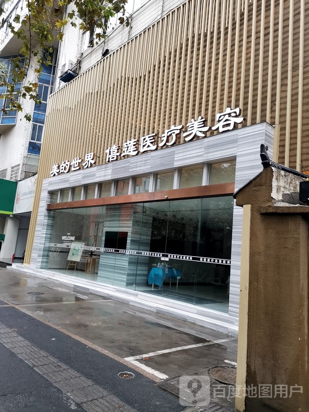 美的世界