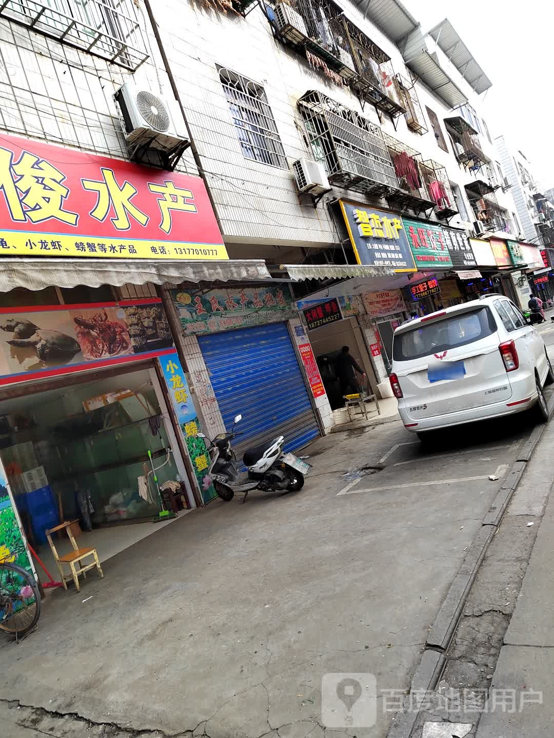 精剪世嘉(专业烫染)