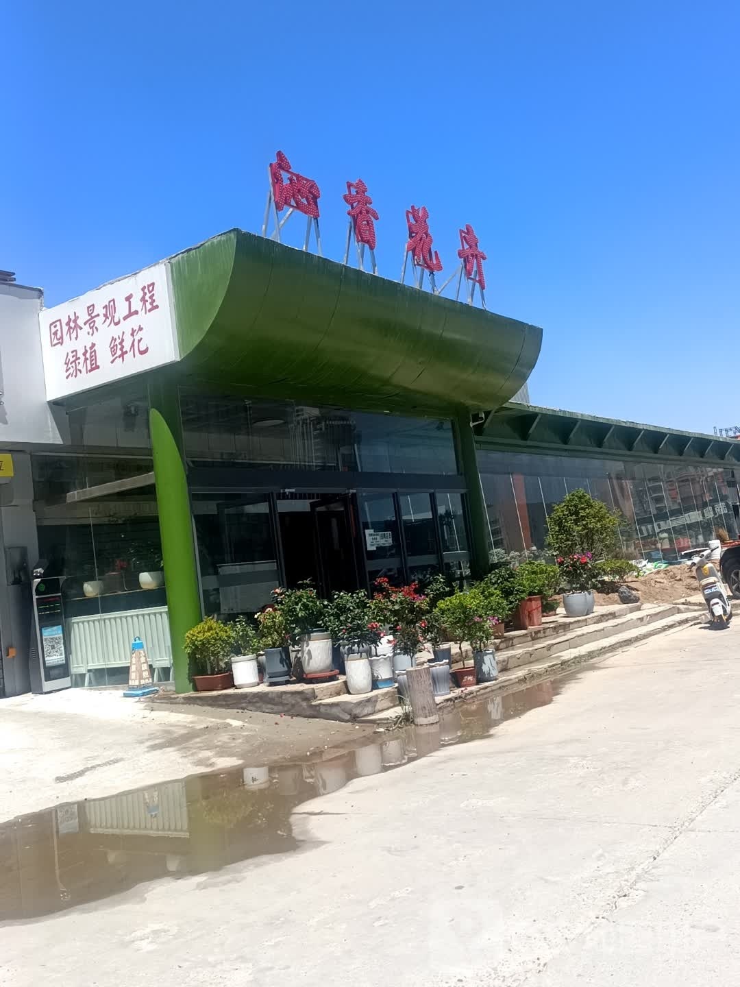 沁湘花卉