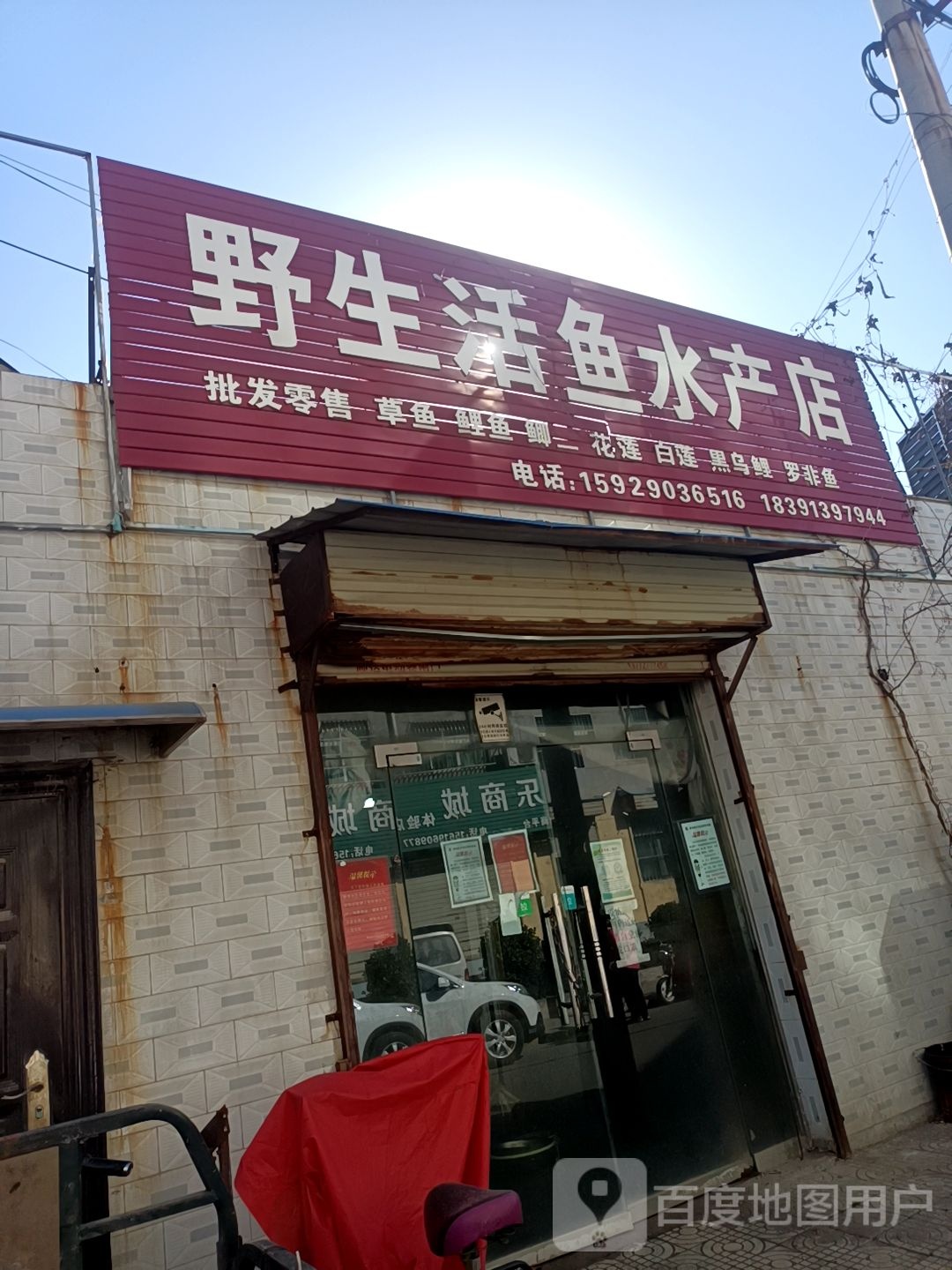 野生活鱼水产店