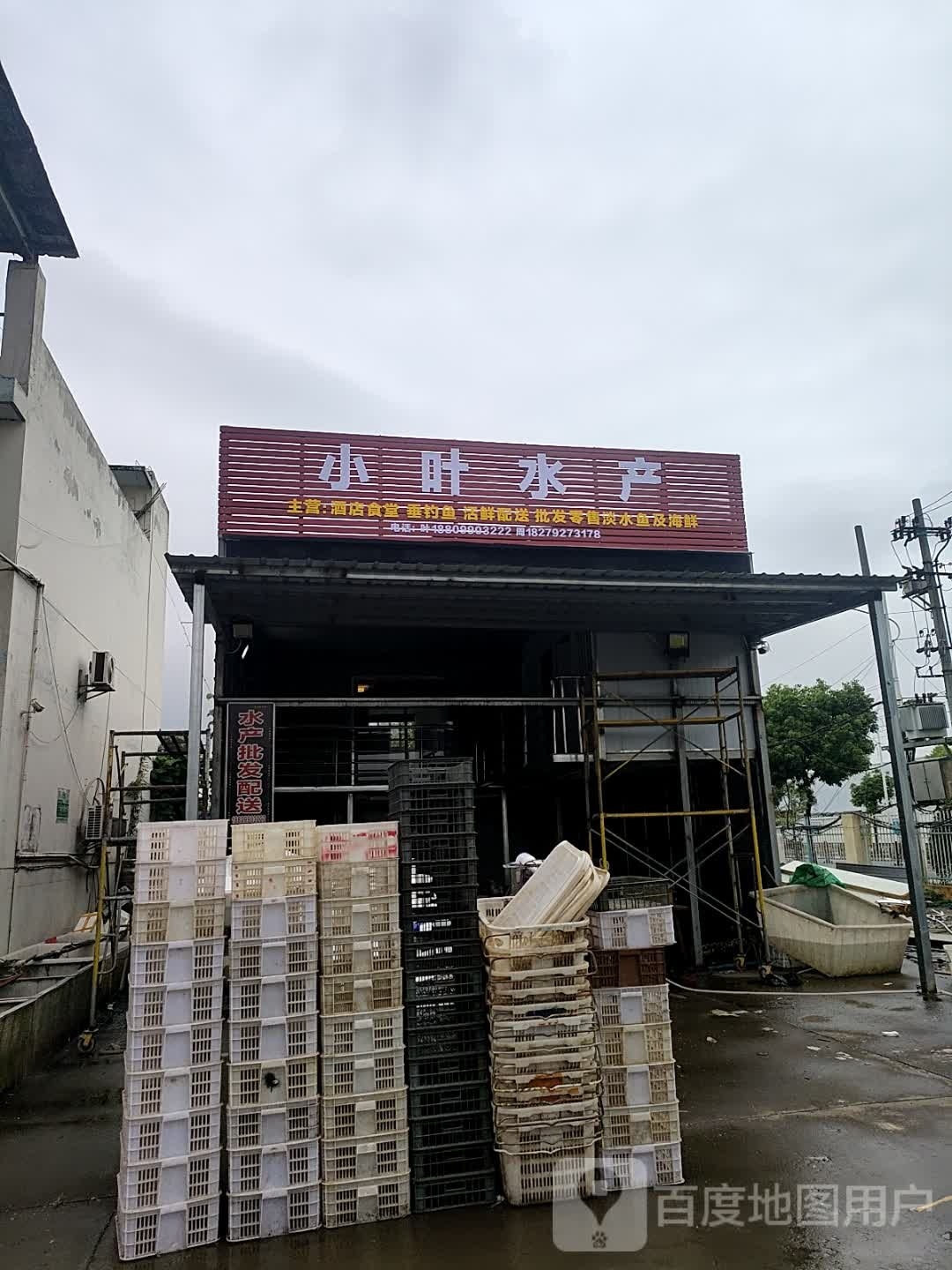 小蠢袄电叶水产